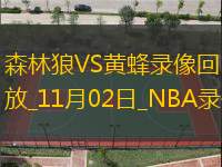 2025年11月2日NBA常规赛森林狼vs黄蜂