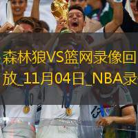 2025年11月4日NBA常规赛森林狼vs篮网