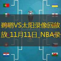 2025年11月11日NBA常规赛鹈鹕vs太阳