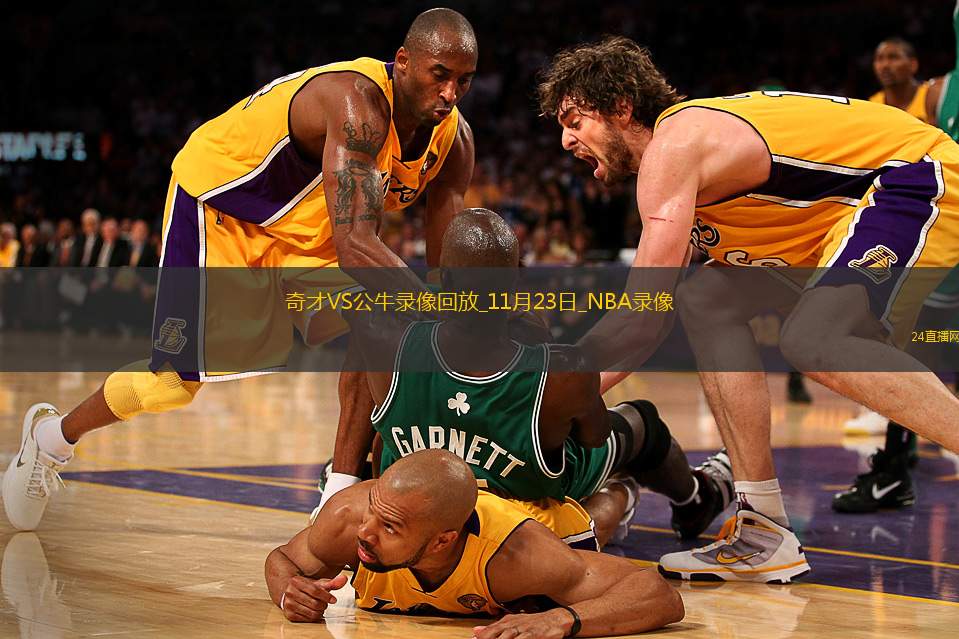 2025年11月23日NBA常规赛奇才vs公牛
