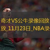 2025年11月23日NBA常规赛奇才vs公牛