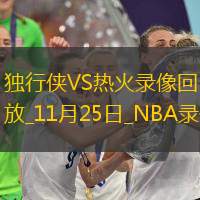 2025年11月25日NBA常规赛独行侠vs热火
