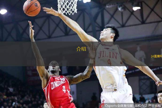 介绍