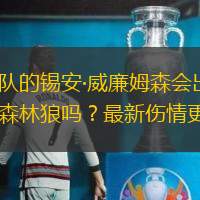 鹈鹕队的锡安·威廉姆森会出战对阵森林狼吗？最新伤情更新