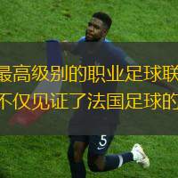 法甲联赛，全称为法国足球甲级联赛，是法国最高级别的职业足球联赛。自1932年成立以来，法甲联赛已经走过了近一个世纪的历程。在这段时间里，法甲联赛不仅见证了法国足球的成长，也成为了欧洲乃至世界足球的重要