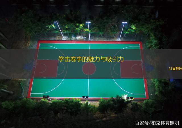 拳击赛事的魅力与吸引力